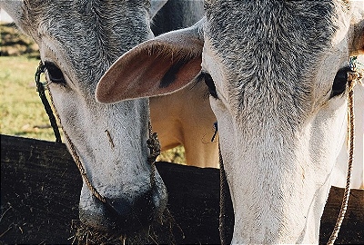 Mini Banner 3 - mobile