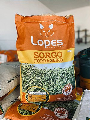 SORGO FORRAGEIRO - BRS PONTA NEGRA