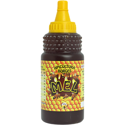 Mel Puro De Abelhas -  500g (350ml) - Florada Assa-Peixe