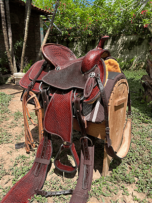 Sela Ranch Sorting Espartano Red River Pro + Manta QM Imports