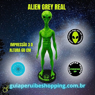ET Grey Real Verde face humana 60 cm fabricado com impressão 3 D em Peruíbe