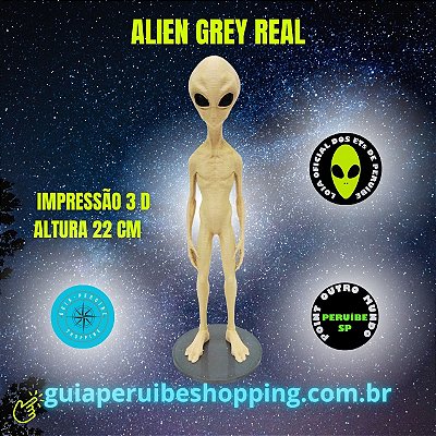 ET Grey Real  cor pele humana 22 cm fabricado com impressão 3 D em Peruíbe