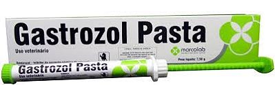 Gastrozol Pasta
