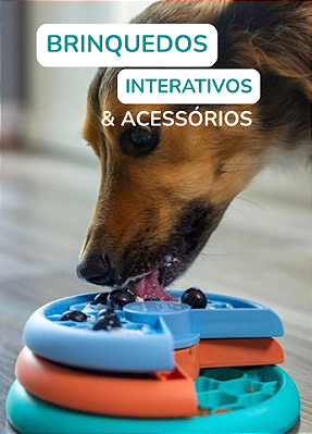 BRINQUEDOS
