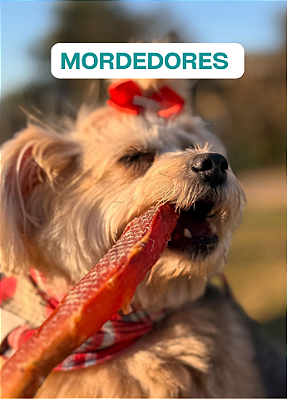 MORDEDORES 1