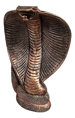 Serpente Naja Cobreada