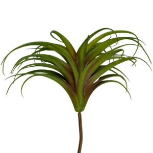 Suculenta Tislândia 50x50cm