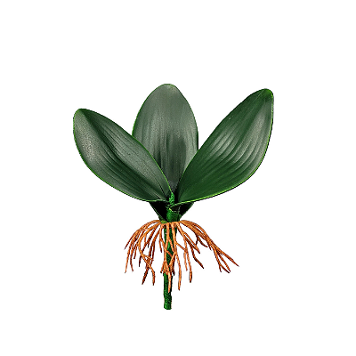 Haste Folha Orquidea 15cm