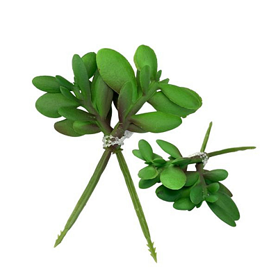 Cacto 10cm