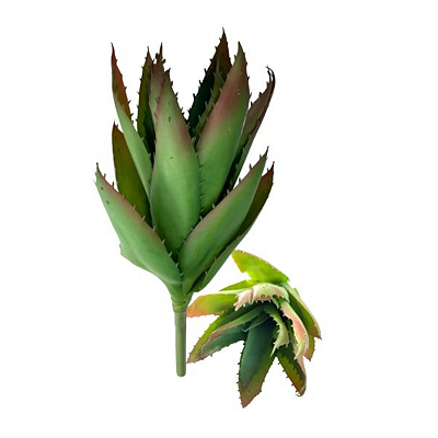 Suculenta 35cm