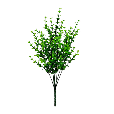 Buque Eucalipto X7 23cm