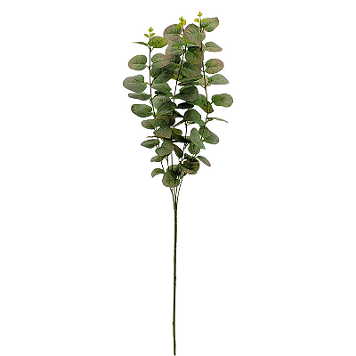 Haste Eucalipto 87cm - Verde Claro