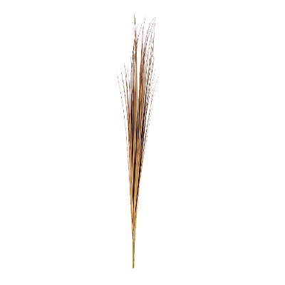 Haste Capim 120cm - Outonado