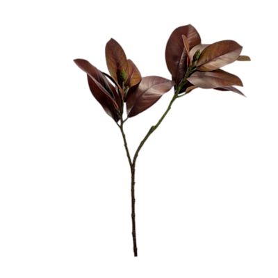 Folha Magnólia 83cm - Marrom