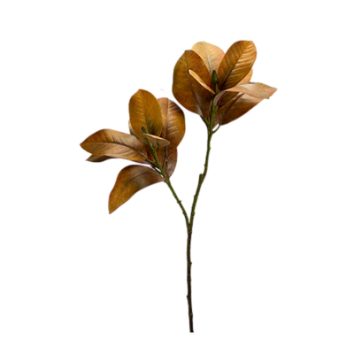 Folha Magnólia 83cm - Champagne