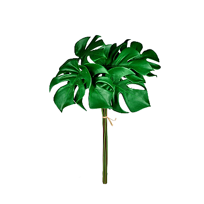 Ramalhete X6 Costela de Adão 30cm