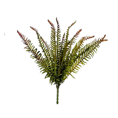 Buque Samambaia 50cm - Verde Outonado