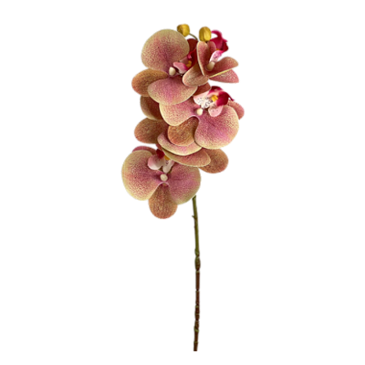 Haste Orquídea Phalaenopsis 3D X6 - Amarelo com Rosa