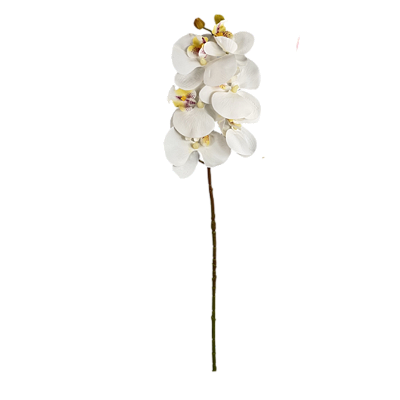 Haste Orquídea Phalaenopsis 3D X6 - Branco