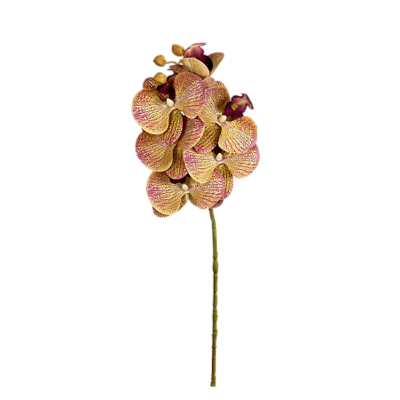 Haste Orquídea Phalaenopsis 3D X6 - Amarelo com Pink