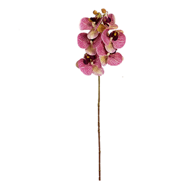 Haste Orquídea Phalaenopsis 3D X6 - Pink com Amarelo