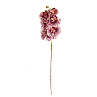 Haste Orquídea Phalaenopsis 3D X6 - Creme com Pink