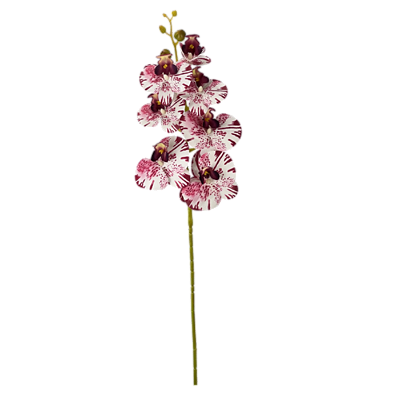 Haste Orquídea 70cm - Branco com Pink