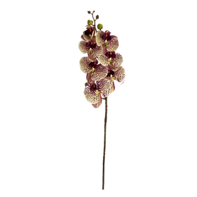 Haste Orquídea 70cm - Amarelo com Bordo