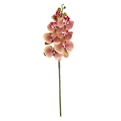 Haste Orquídea 70cm - Rosa com Amarelo