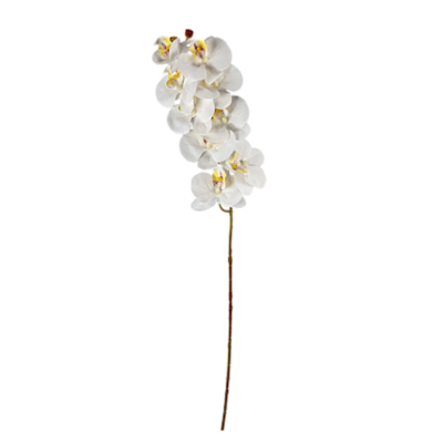 Haste Orquídea 78cm - Branca