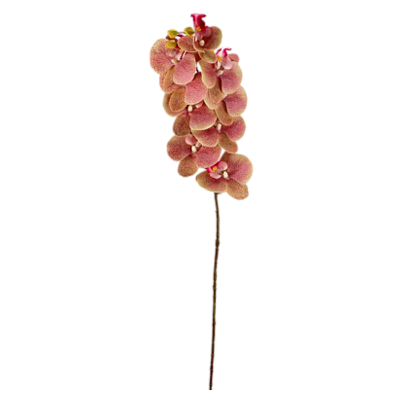 Haste Orquídea 78cm - Pink com Amarelo