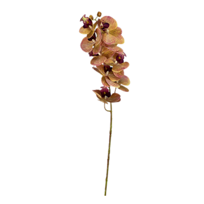 Haste Orquídea 78cm - Amarelo com Vinho