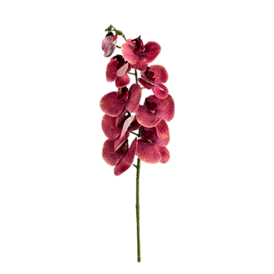 Haste Orquídea Phalaenopsis X9 98cm - Rosa Escuro