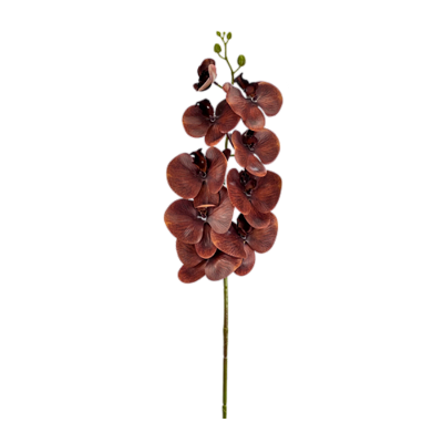 Haste Orquídea Phalaenopsis X9 98cm - Marrom