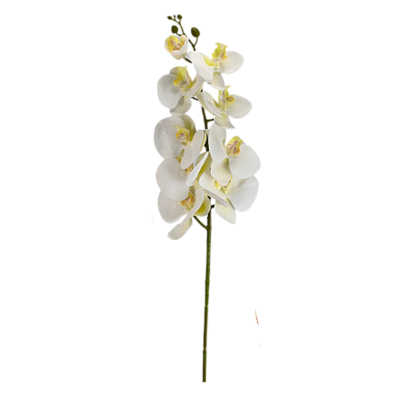 Haste Orquídea Phalaenopsis X9 98cm - Branco