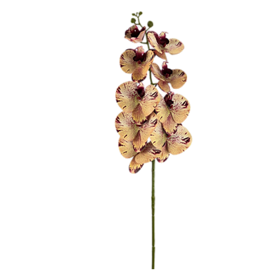 Haste Orquídea Phalaenopsis X9 98cm - Amarelo com Vinho