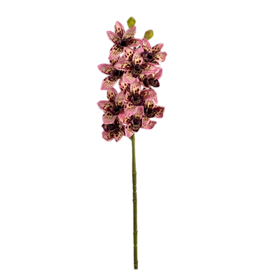 Haste Orquídea Cymbidium 3D 68cm - Rosa 2 tons