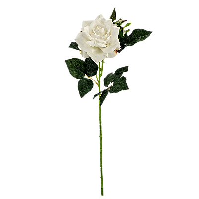 Haste Rosa X1 60cm - Branco