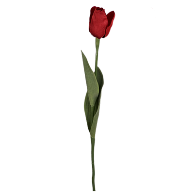 Haste Tulipa Natural 65cm - Vermelha