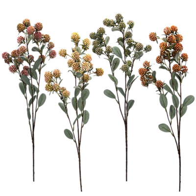 Haste Berry 77cm