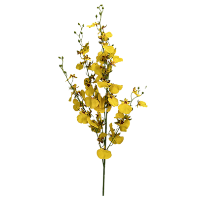 Haste Chuva de Ouro 105cm - Amarelo