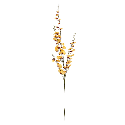 Haste Chuva de Ouro 120cm - Marsala