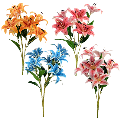 Buque Lirio X5 25cm