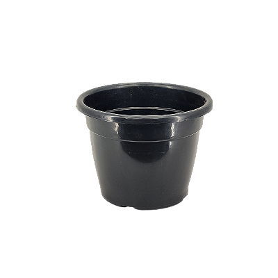 Vaso Plastico NP24