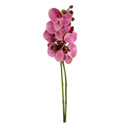Haste Orquídea Phalaenopsis 50cm Rosa