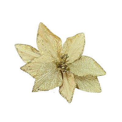 Bico de Papagaio Dourado 23cm