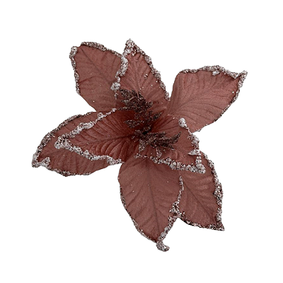 Haste Bico de Papagaio 30x30cm Rosa