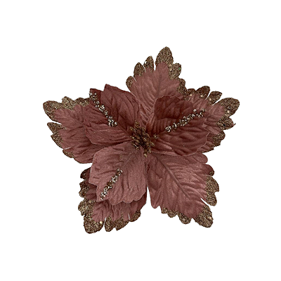 Haste Bico de Papagaio 24x24cm Rosa