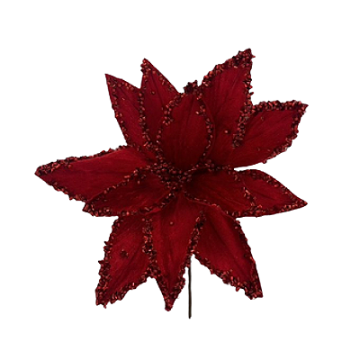 Haste Bico de Papagaio 29cm Vermelho