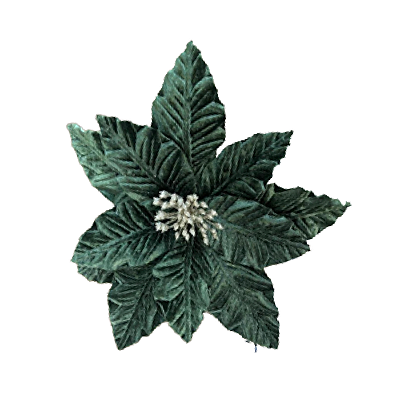 Haste Bico de Papagaio 30x20cm Verde